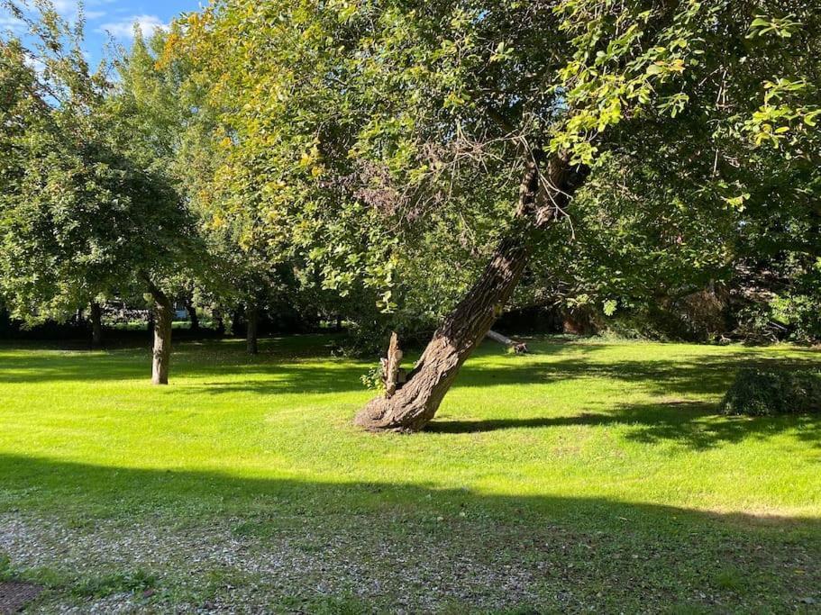 Appartement En Campagne Berville-sur-Mer Екстериор снимка